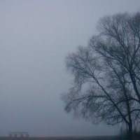 Утренний, туманный пейзаж :: Сергей В Утренний, туманный пейзаж :: Сергей В
