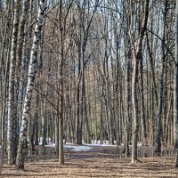 По дороге ... :: Kirill 