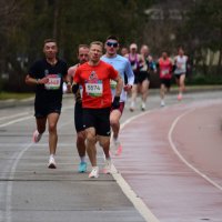 Лидеры бегут. :: Наталья Вязигина Лидеры бегут. :: Наталья Вязигина