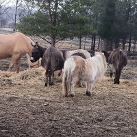 В Яви Нави. :: Ольга В Яви Нави. :: Ольга