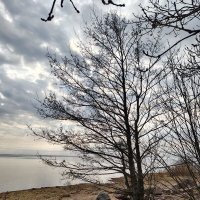 Март :: Андрей 