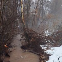 р.Мутнушка :: светлана льдокова