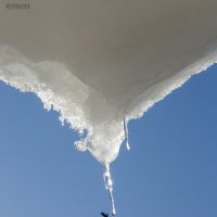 Встретились :: Александр Встретились :: Александр