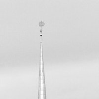 ....... :: Сергей Оплачко