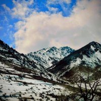 Горная страсть :: Георгиевич Горная страсть :: Георгиевич