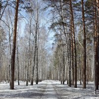 Апрельским днем в парке :: Галина Нестратова Апрельским днем в парке :: Галина Нестратова