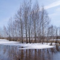 Весна,апрель. :: сергей ермошкин