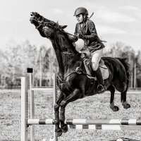 Конкур :: SanSan 