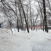 Зима :: Владимир Драгунский