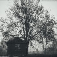 Продолжение туманного :: Сергей В