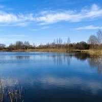 Весна в начале апреля. :: Милешкин Владимир Алексеевич Весна в начале апреля. :: Милешкин Владимир Алексеевич