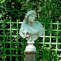 ЛЕТНИЙ САД. :: Виктор Осипчук