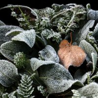 ВДНХ 1 октября :: Михаил Бибичков ВДНХ 1 октября :: Михаил Бибичков