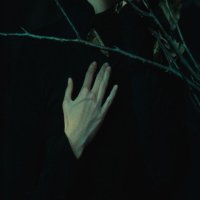 TACTUS :: Евгений Нодвиков