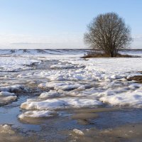 Бегут ручьи... :: Сергей Ц