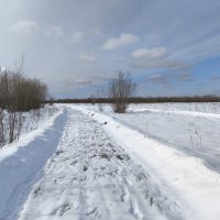 Весна :: Anna Ivanova