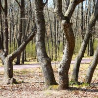 *** :: Андрей Л. В. *** :: Андрей Л. В.