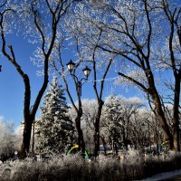 Зимний иней :: Мишель71 