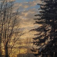 Вечерняя зарисовка в парке Победы. :: Лилия * Вечерняя зарисовка в парке Победы. :: Лилия *