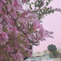 14  КЛОС (105) :: CLOSE WAYS ALL