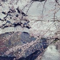 ВЕСНА !...2026 года :: Валерий Кокорев