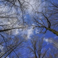 Небо апреля... :: Владимир Жданов