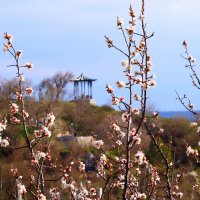 весна пришла :: Игорь Kуленко