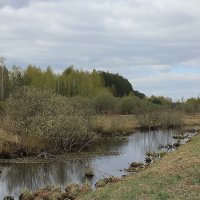 Весеннее. :: Ирина Кустова