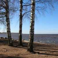 Петергоф. Финский залив :: Наталья Герасимова