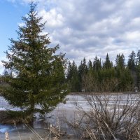 Половодье :: Сергей Ц Половодье :: Сергей Ц