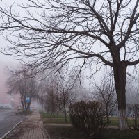 Утро. Туман :: Dar(k) Life