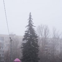 Утро. Туман. Детская площадка :: Dar(k) Life Утро. Туман. Детская площадка :: Dar(k) Life