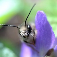 Доброе утро ) :: Tina Kott