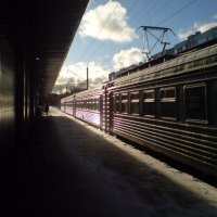 На Сестрорецк :: Not Lion