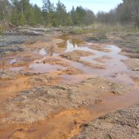 Ржавчина :: Not Lion