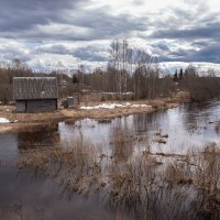 половодье, пасмурный день :: Galina половодье, пасмурный день :: Galina