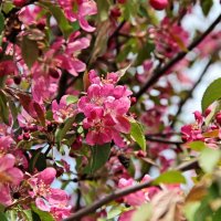 ...совсем скоро... :: Александр Герасенков