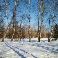 Весенняя природа :: Александр Синдерёв