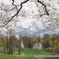 Про Питер :: Владимир Колесников