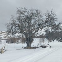 Ак Булак. Талгар. :: Murat Bukaev 