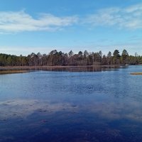 Весенние  фотозарисовки.. :: Татьян@ Ивановна