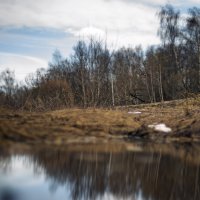 Талые воды :: sorovey Sol