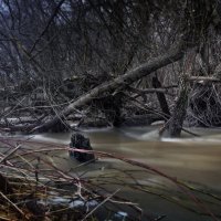 Паводок в пути :: sorovey Sol