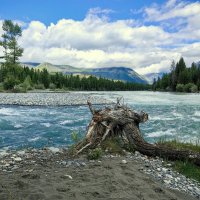 Река Коксу :: Галина Козлова 