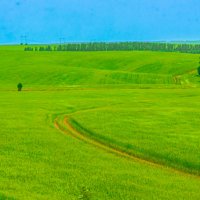 Летнее поле :: fogmeadowww m