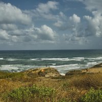 Израиль2029г :: ujgcvbif 