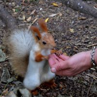 Вот так встреча :: Savayr 