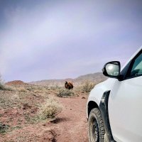 Встреча в пустыне :: Георгиевич 