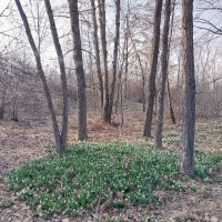 Ботанический сад. Алматы. :: Murat Bukaev 