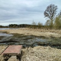 Тут рыбку ловили... :: Михаил "Skipper"